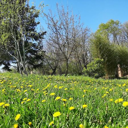 Chambre Soignee Et Accueillante A La Campagne - Ch. Jaune L'Honor-de-Cos Εξωτερικό φωτογραφία