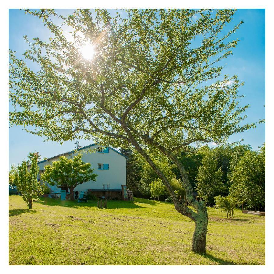 Chambre Soignee Et Accueillante A La Campagne - Ch. Jaune L'Honor-de-Cos Εξωτερικό φωτογραφία